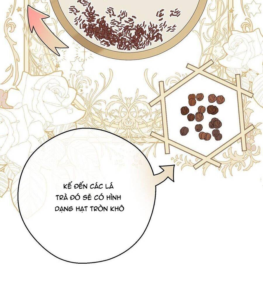 50 Công Thức Pha Trà Của Nữ Công Tước Chap 119 - Next Chap 120