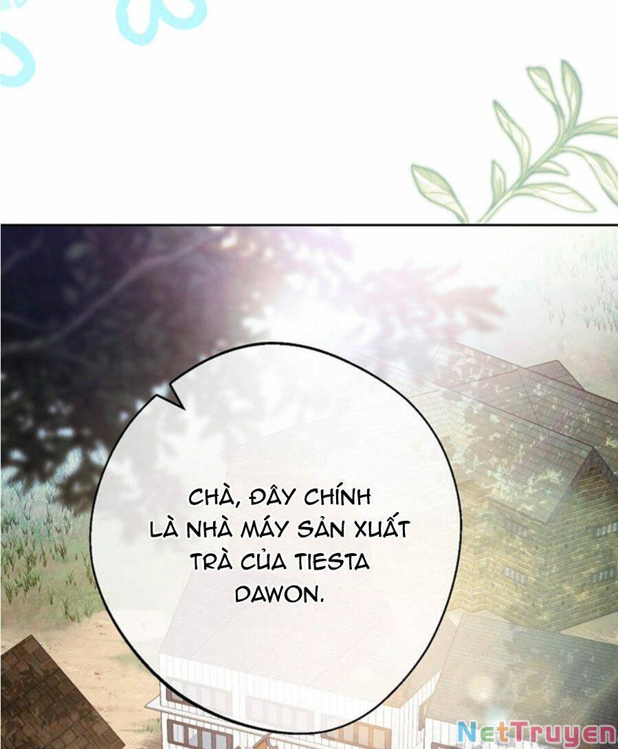50 Công Thức Pha Trà Của Nữ Công Tước Chap 129 - Next Chap 130