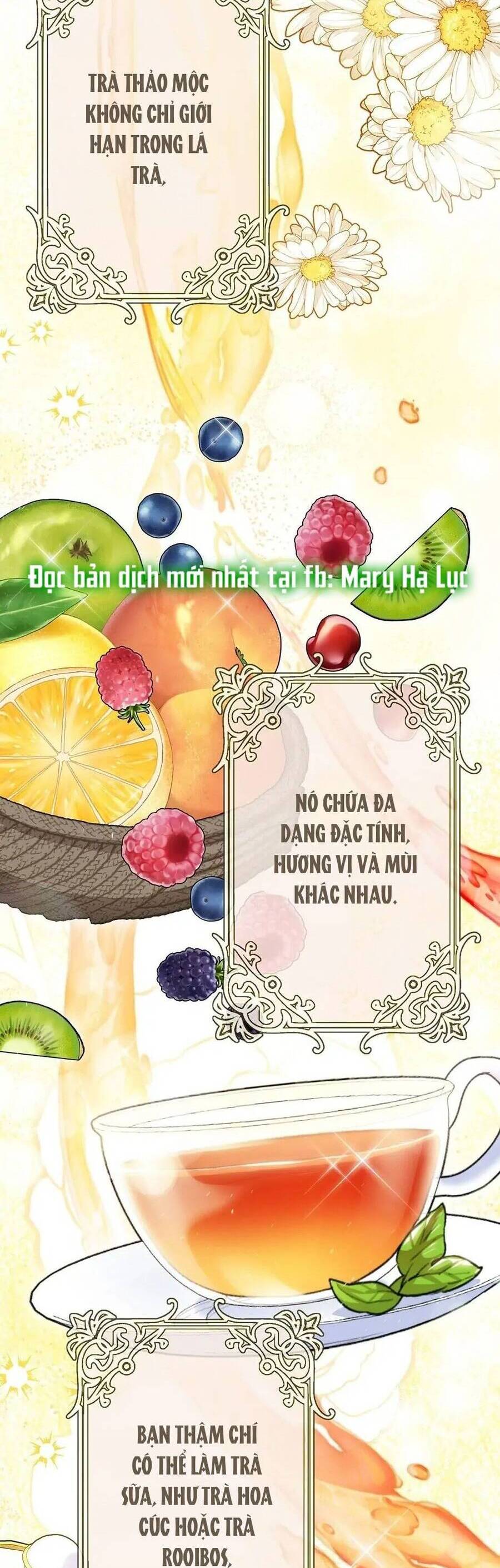 50 Công Thức Pha Trà Của Nữ Công Tước Chap 137 - Next Chap 138