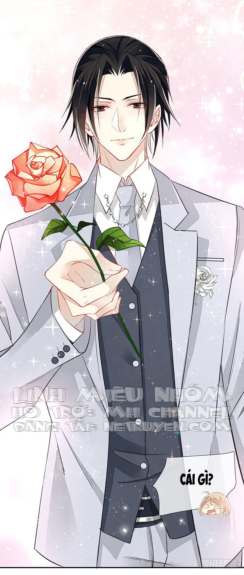 Ám Dạ Điềm Sủng: Vô Tình Trêu Chọc Đệ Nhất Ác Ma Chap 13 - Next Chap 14