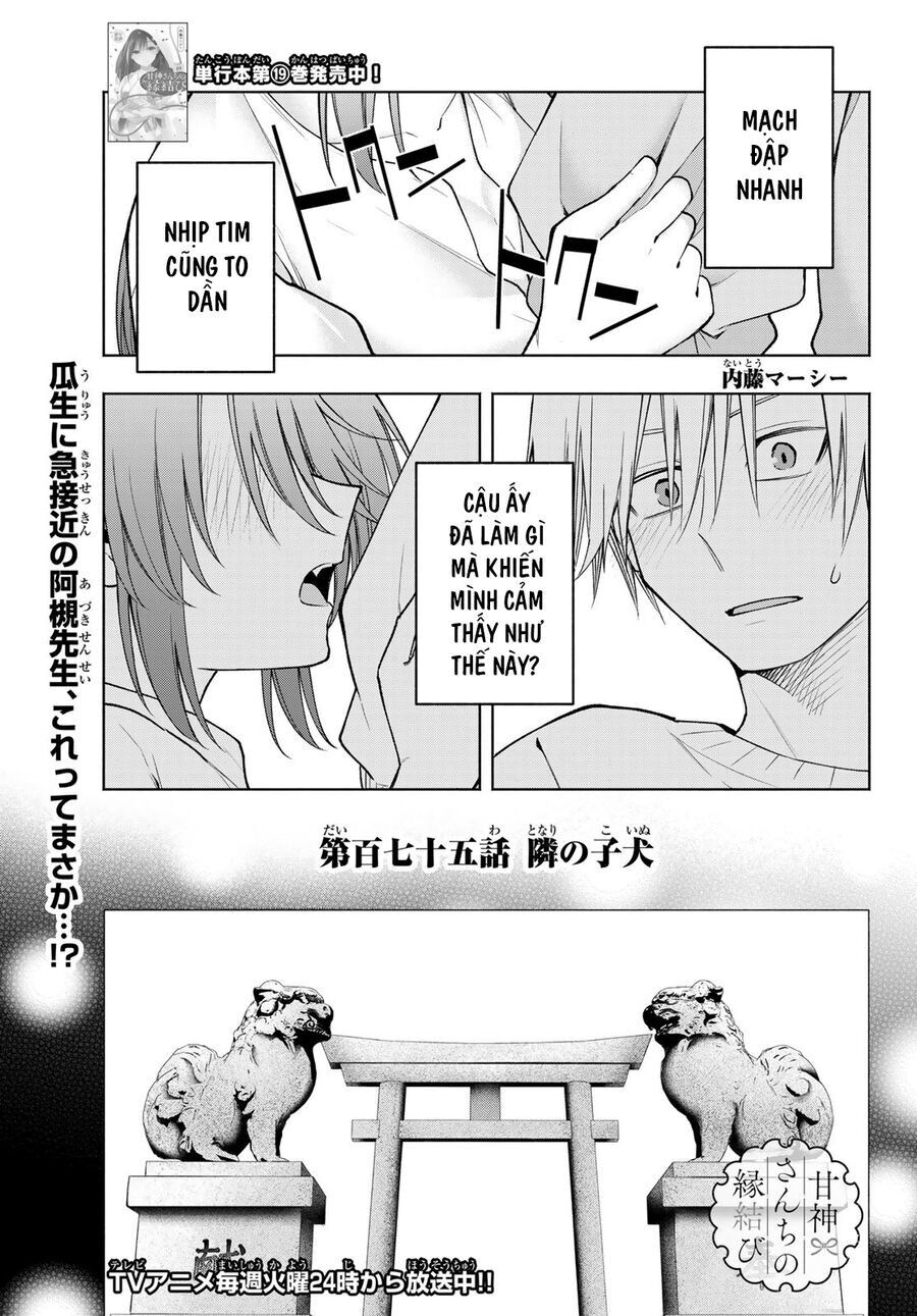Amagami-San Chi No Enmusubi! Chap 175 - Next Chap 176