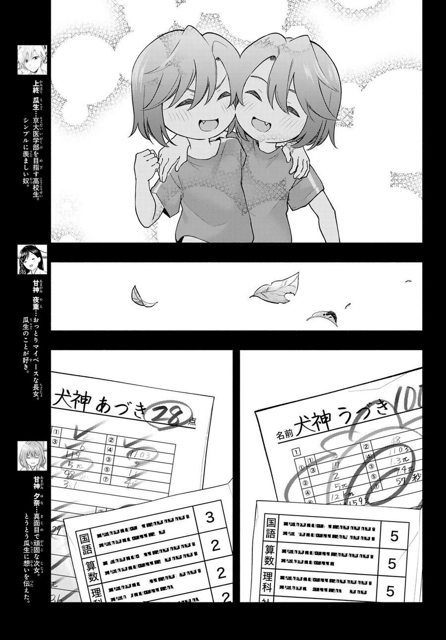 Amagami-San Chi No Enmusubi! Chap 175 - Next Chap 176