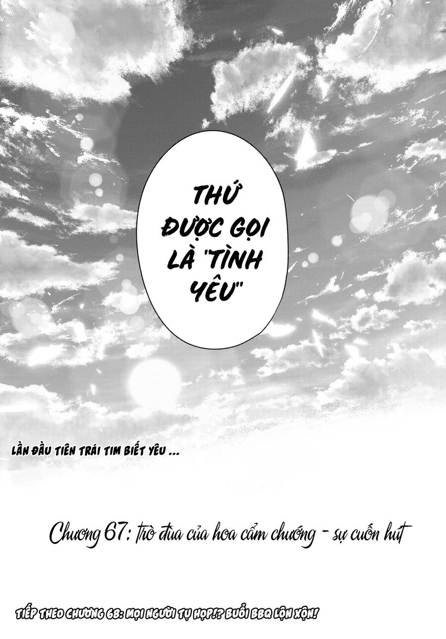 Amagami-San Chi No Enmusubi! Chap 67 - Next Chap 68