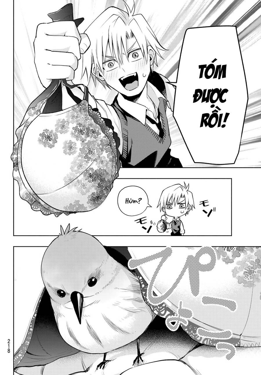 Amagami-San Chi No Enmusubi! Chap 85 - Next Chap 86