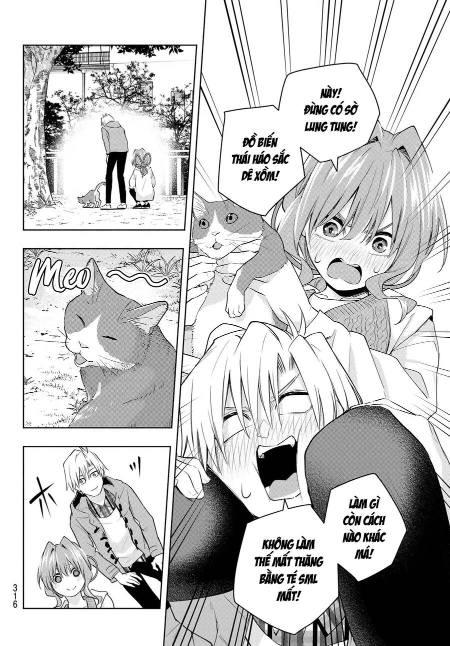 Amagami-San Chi No Enmusubi! Chap 87 - Next Chap 88