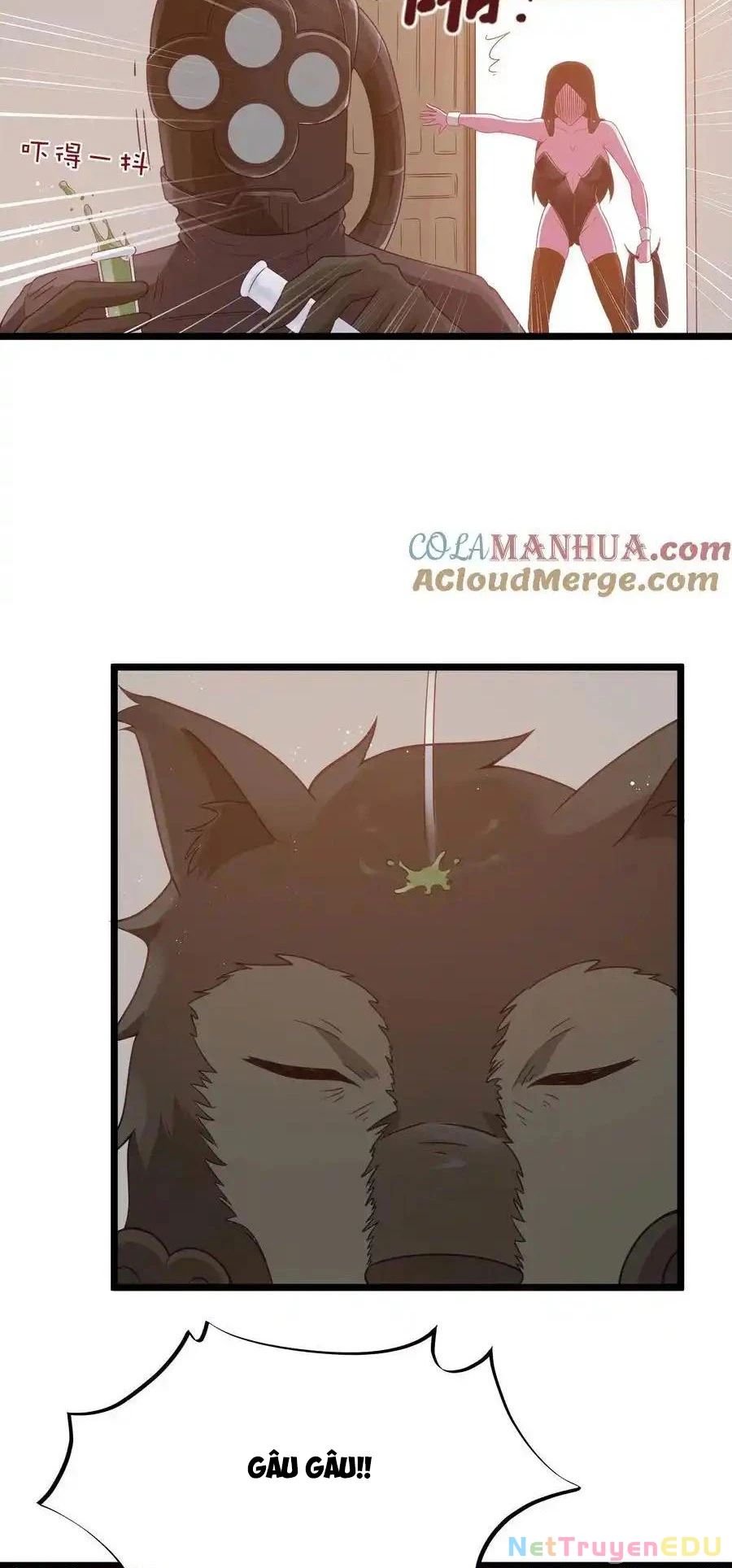 Anh Hùng Giai Cấp Tư Sản Chap 56 - Next Chap 57