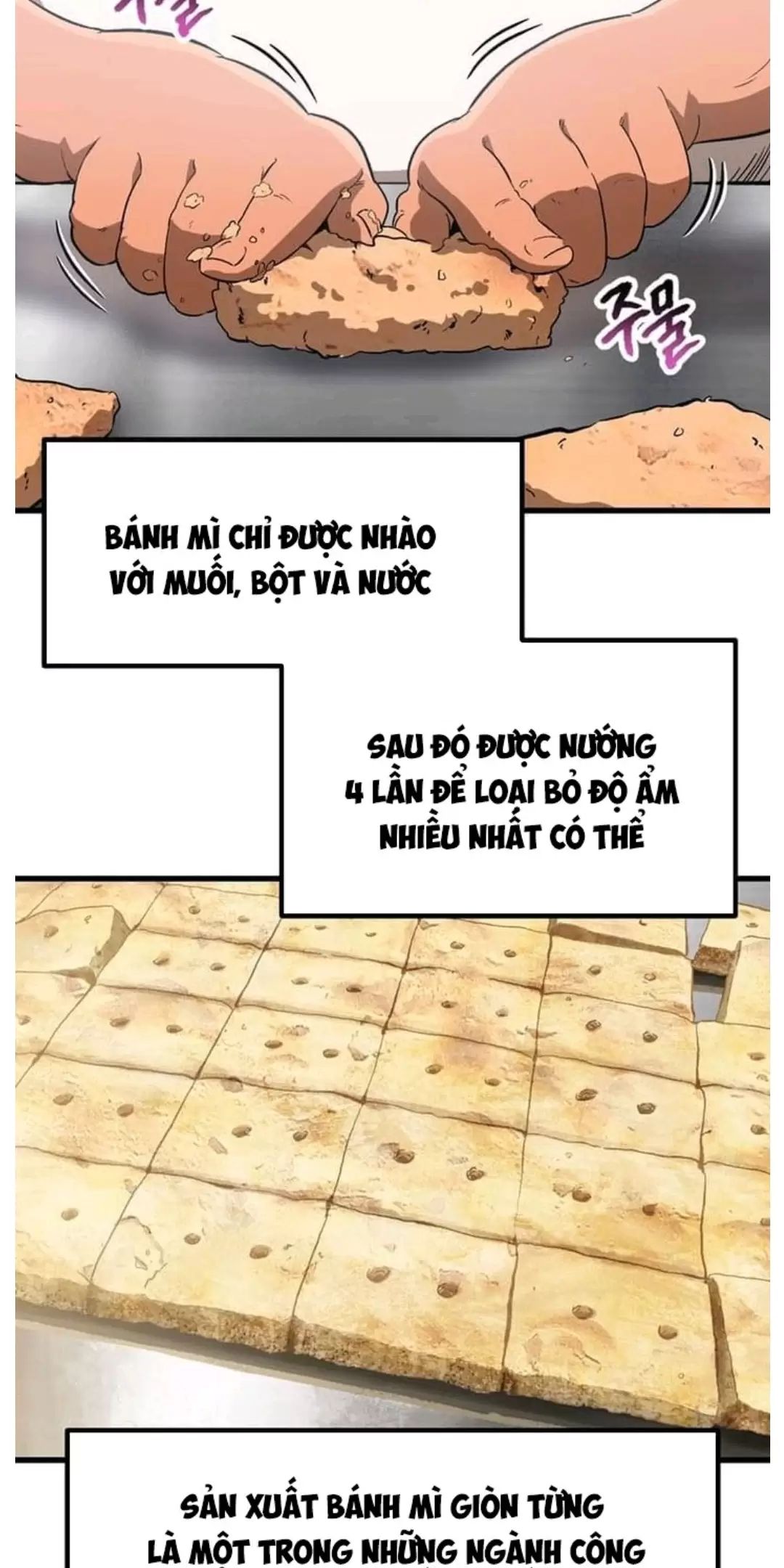 Anh Hùng Mạnh Nhất? Ta Không Làm Lâu Rồi! Chap 186 - Next Chap 187