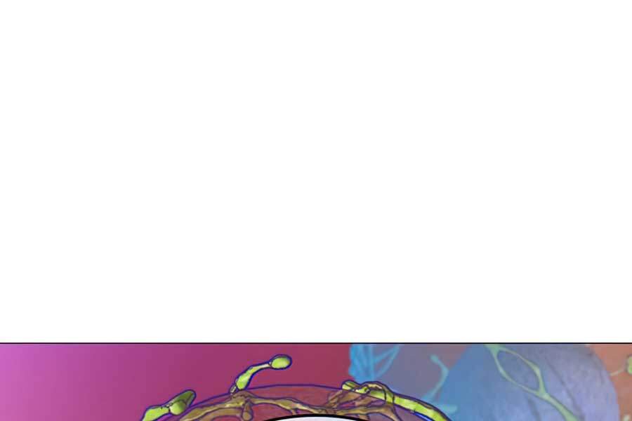 Anh Hùng Mạnh Nhất Trở Lại Chap 63 - Next Chap 64
