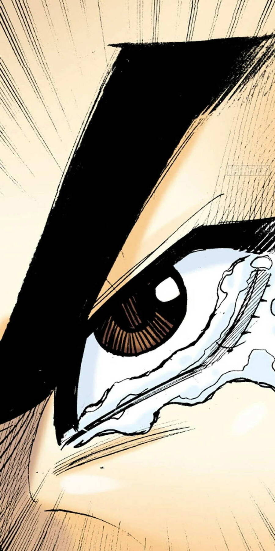Anh Hùng Thập Bát Chap 52 - Next Chap 53