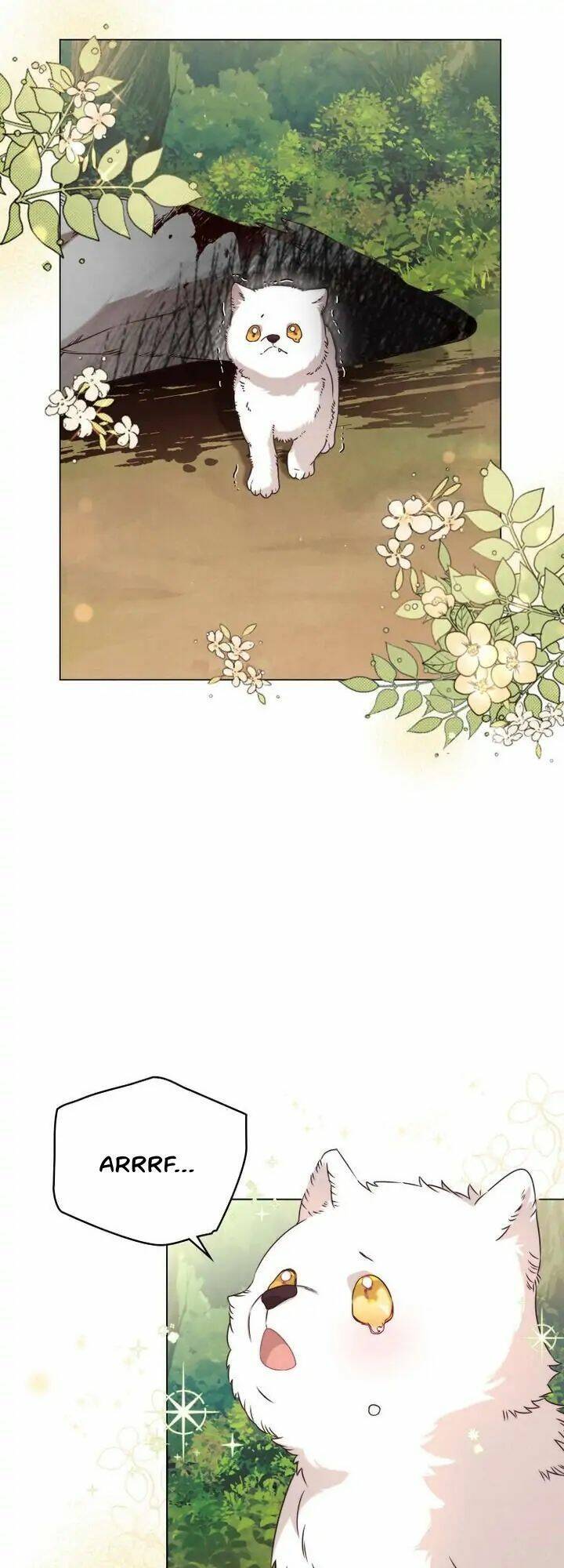 Ánh Sáng Vàng Của Bình Minh Chap 5 - Next Chap 6