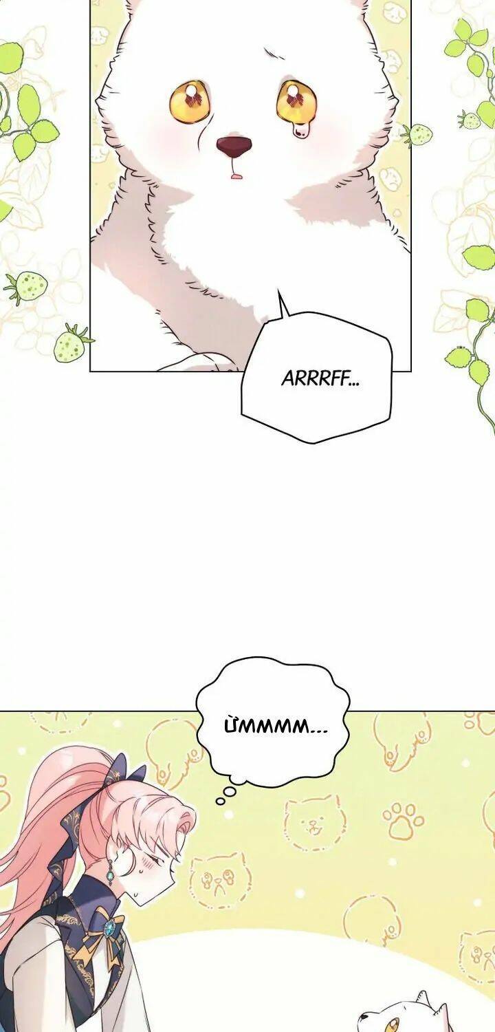 Ánh Sáng Vàng Của Bình Minh Chap 5 - Next Chap 6