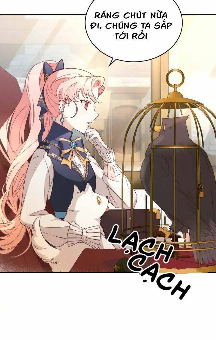 Ánh Sáng Vàng Của Bình Minh Chap 5 - Next Chap 6