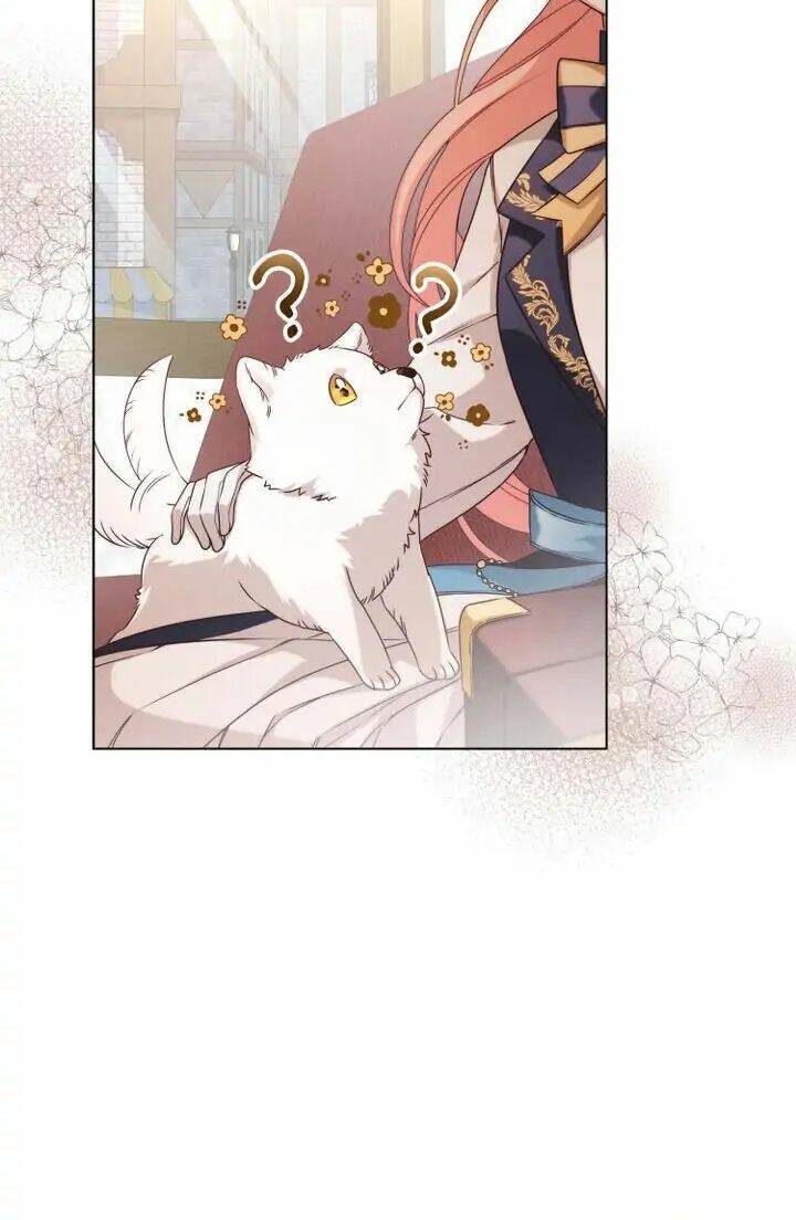Ánh Sáng Vàng Của Bình Minh Chap 5 - Next Chap 6