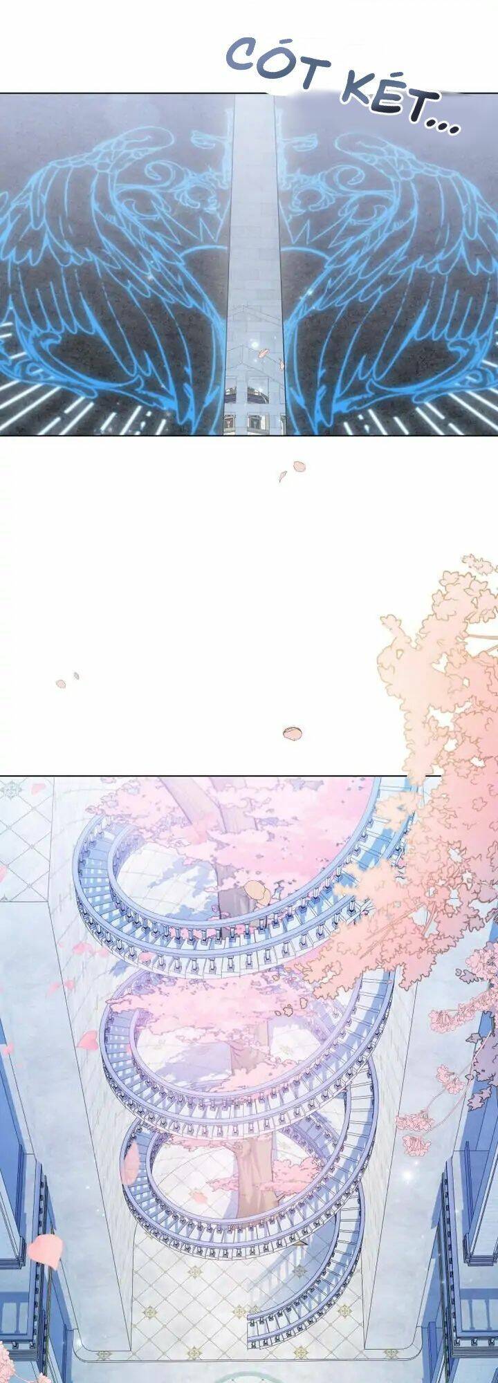 Ánh Sáng Vàng Của Bình Minh Chap 5 - Next Chap 6
