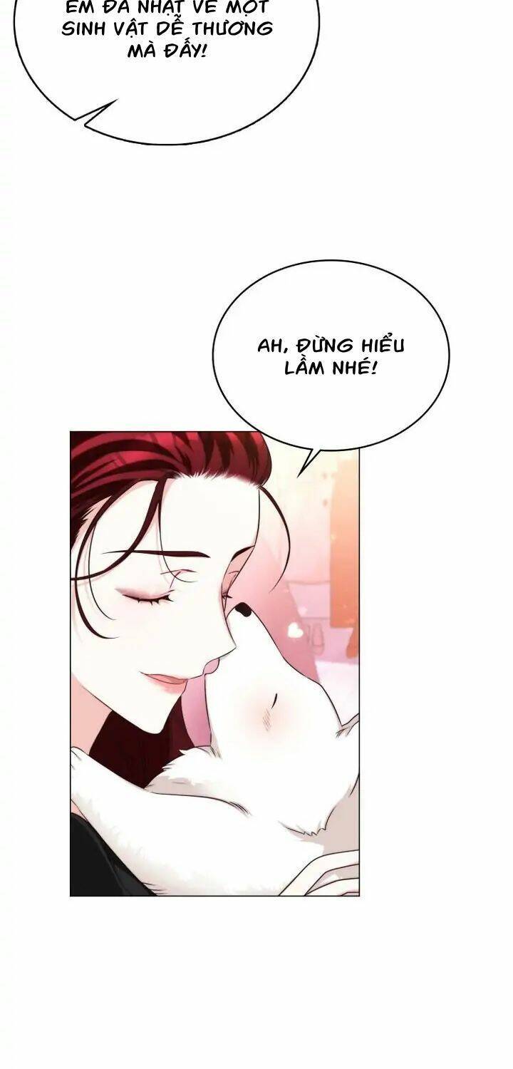 Ánh Sáng Vàng Của Bình Minh Chap 6 - Next Chap 7