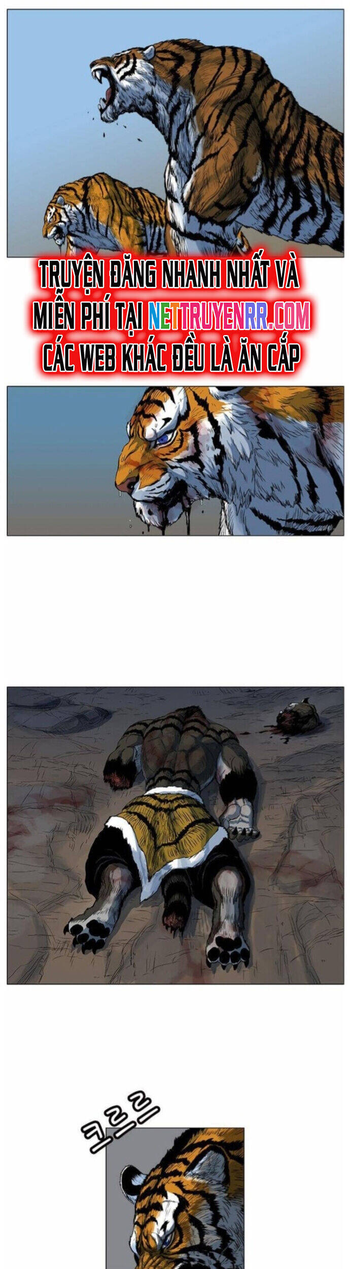 Anh Trai Tôi Là Hổ Chap 43 - Next Chap 44