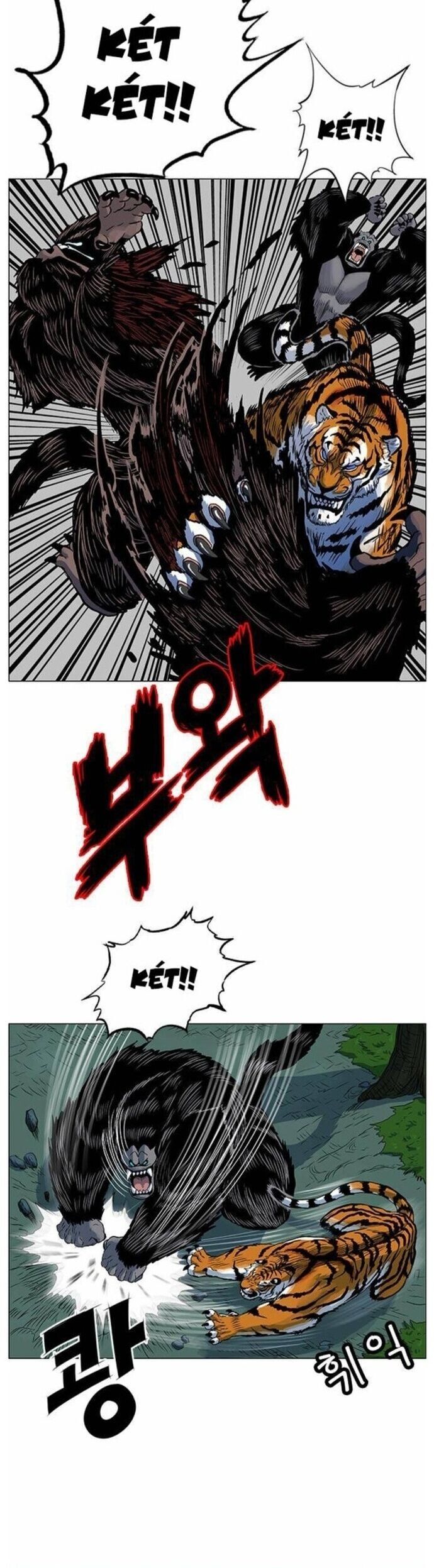 Anh Trai Tôi Là Hổ Chap 65 - Next Chap 66