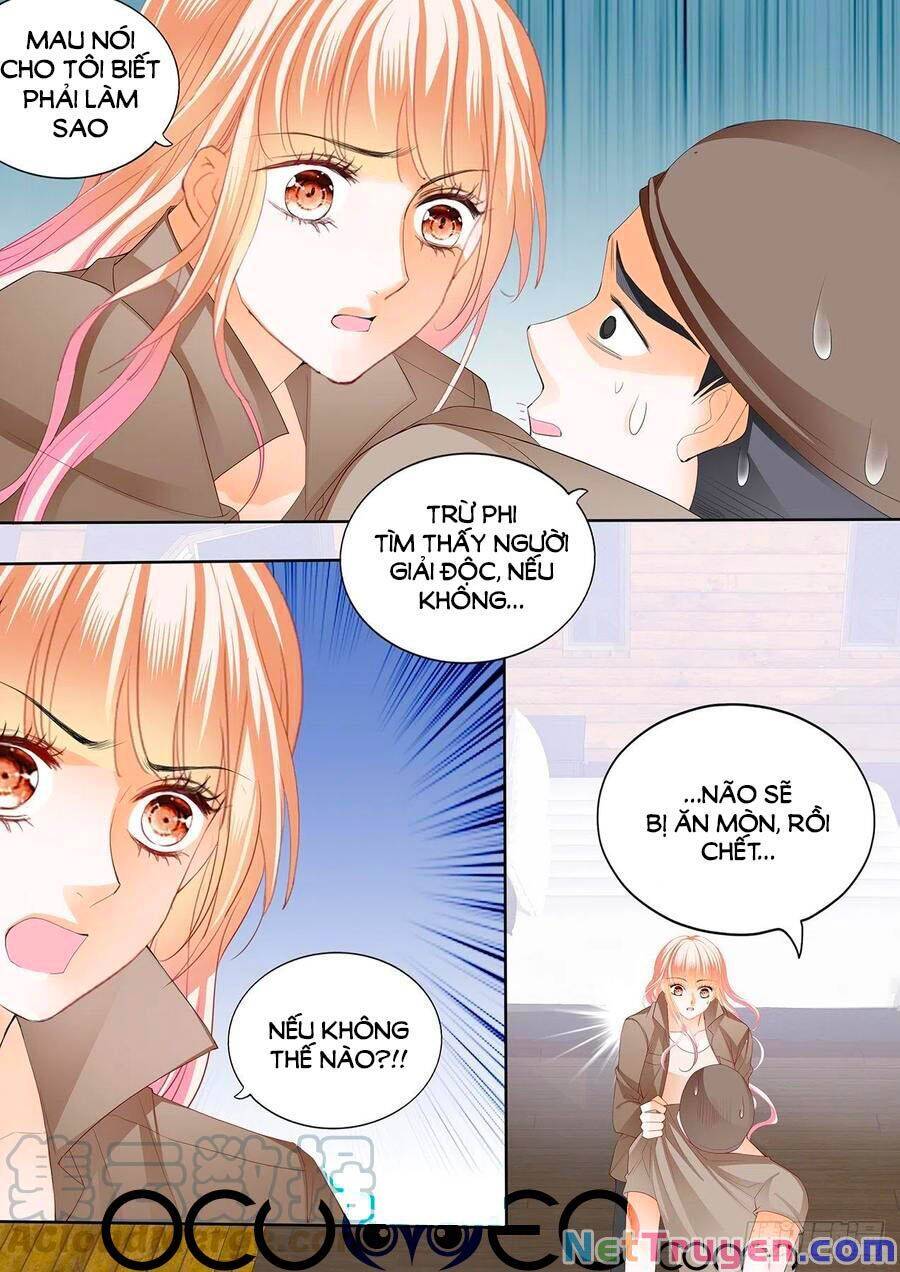 Bá Đạo Tiểu Thúc, Xin Trêu Chọc Vừa Thôi! Chap 249 - Next Chap 250