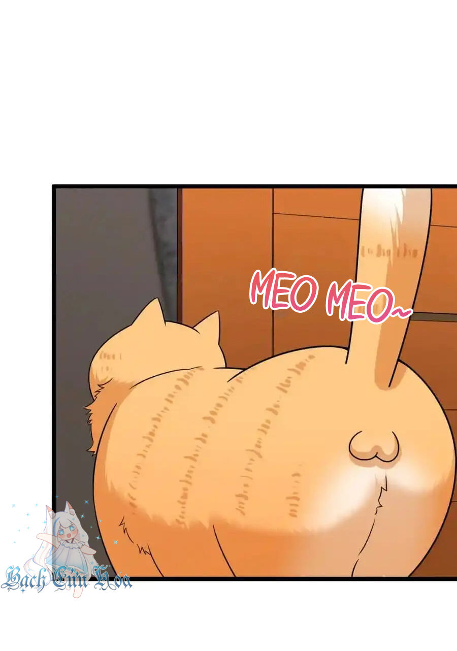 Bà Xã Nhà Tôi Đến Từ Ngàn Năm Trước Chap 255 - Next Chap 256