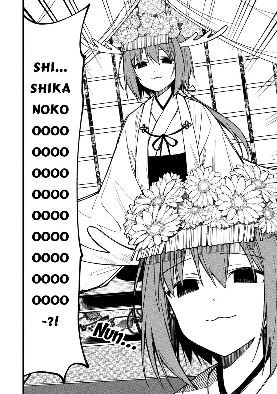 Bạn Nai Nokotan Của Tôi Chap 12 - Next Chap 13