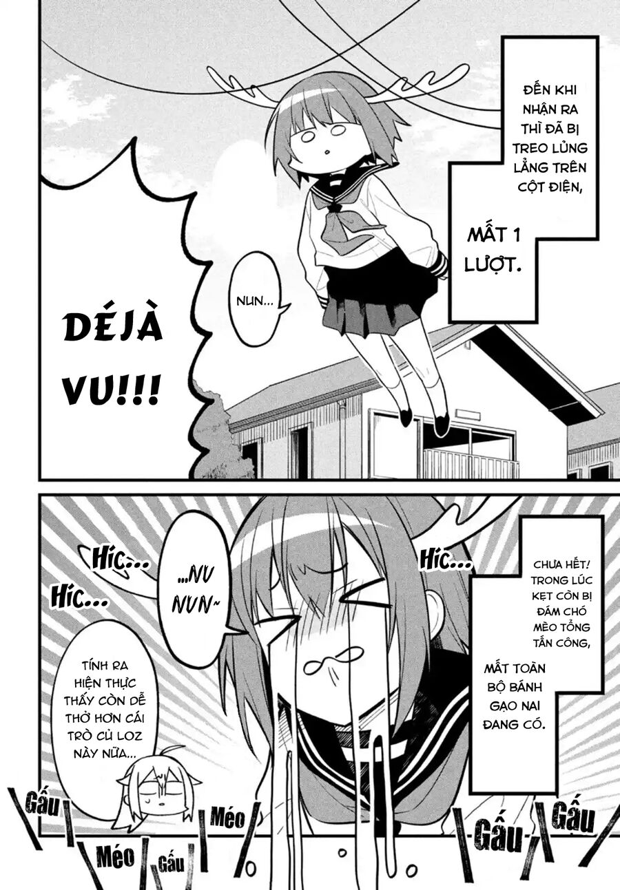 Bạn Nai Nokotan Của Tôi Chap 13 - Next Chap 14