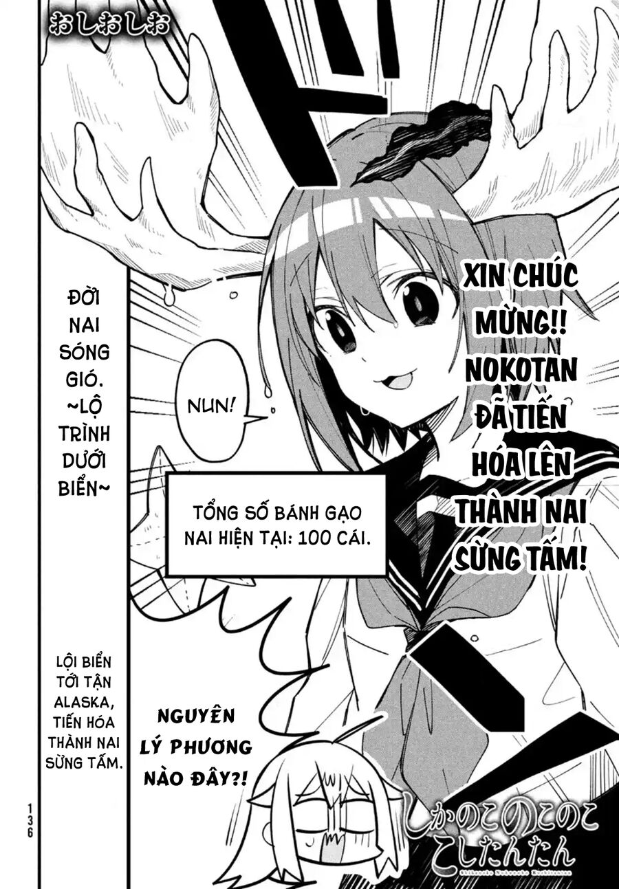 Bạn Nai Nokotan Của Tôi Chap 14 - Next Chap 15