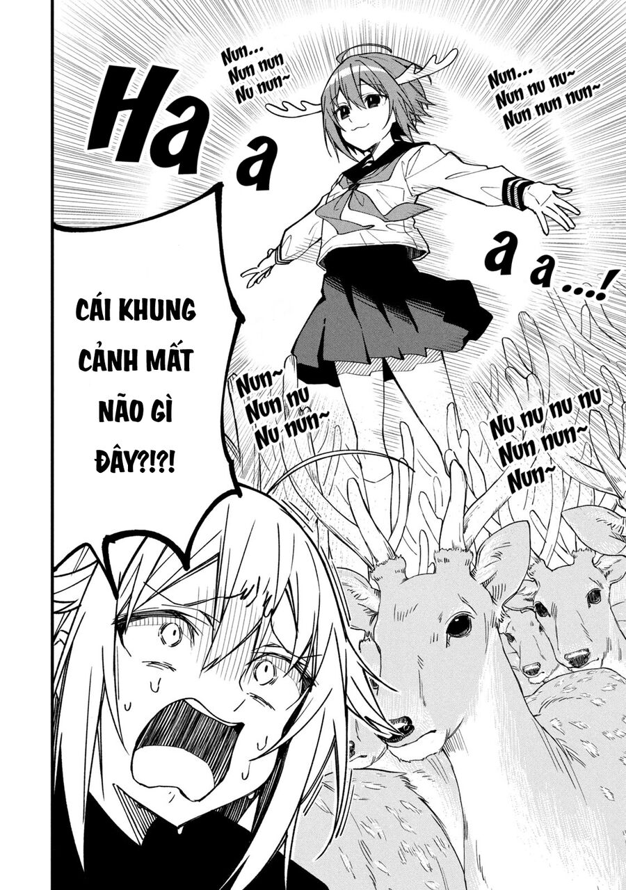 Bạn Nai Nokotan Của Tôi Chap 4 - Next Chap 5