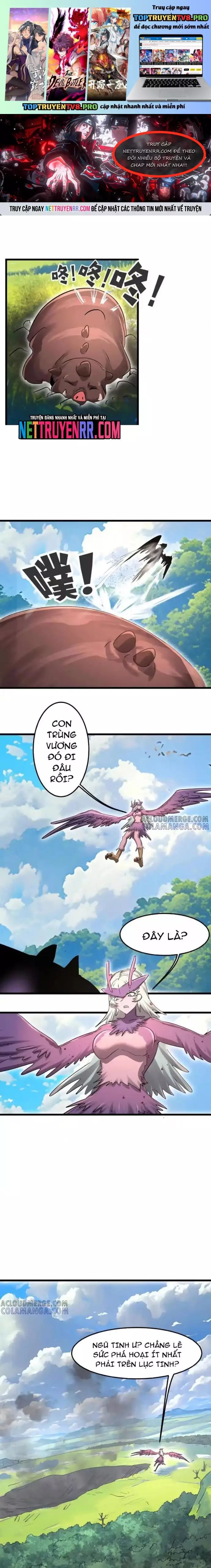 Bản Sao Của Tôi Là Trùng Vương Không Gian Chap 50 - Next Chap 51