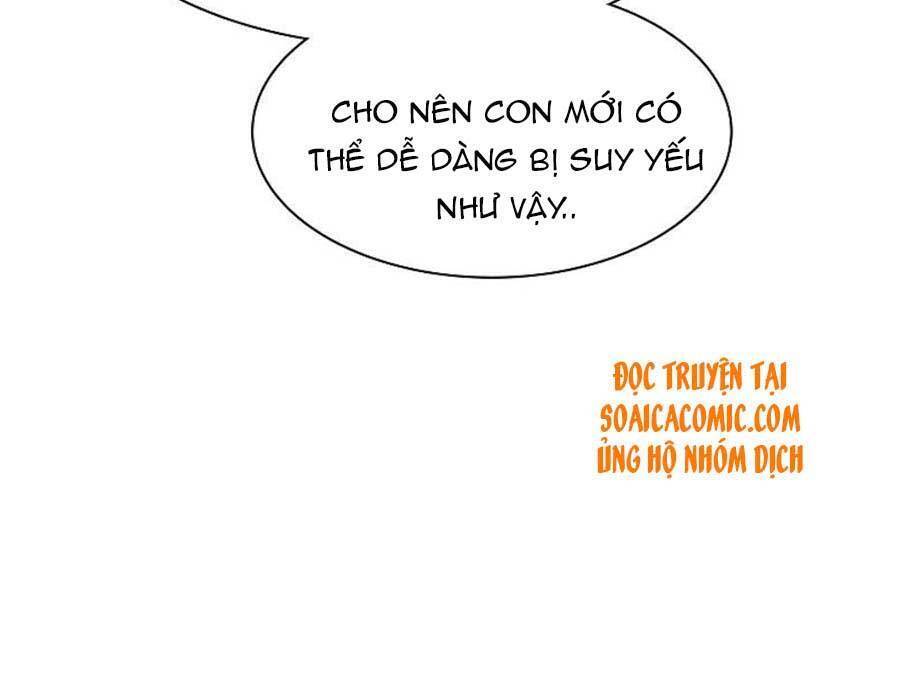 Băng Sơn Tổng Tài Sủng Thê Đến Vô Đạo Chap 208 - Next Chap 209