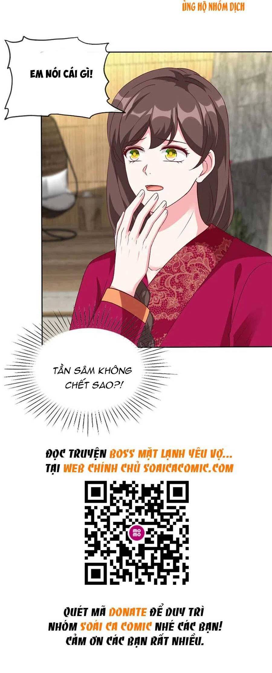 Băng Sơn Tổng Tài Sủng Thê Đến Vô Đạo Chap 210 - Next Chap 211