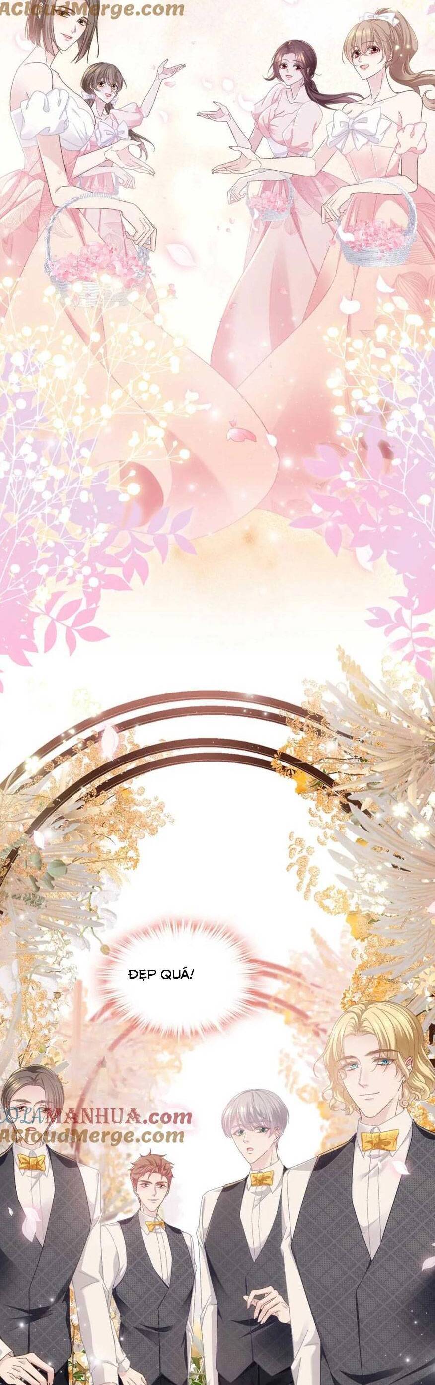 Bảo Bối Của Lão Đại Đã Xuyên Không Trở Về! Chap 215 - Next Chap 216