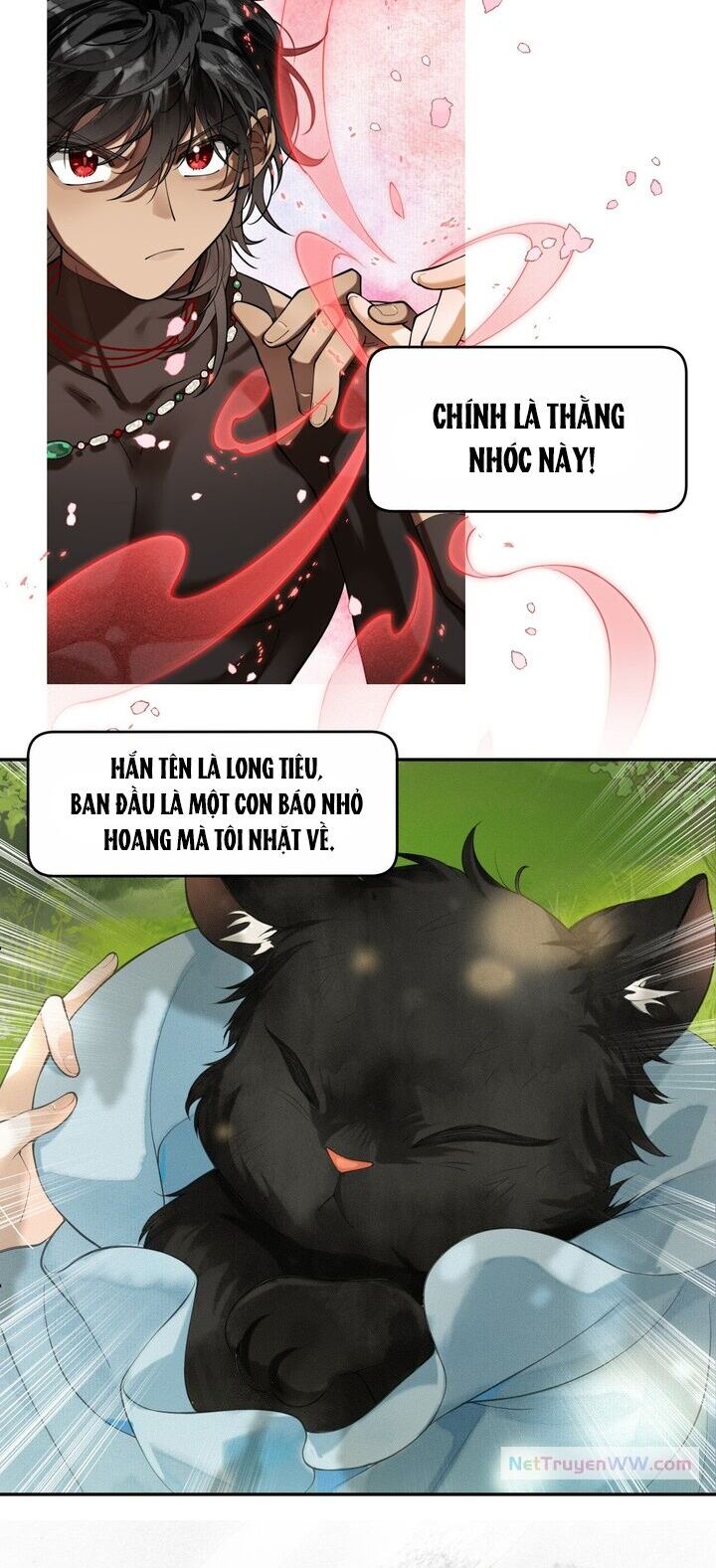 Báo Đen Nhỏ, Cùng Đi Thi Nào! Chap 1 - Next Chap 2