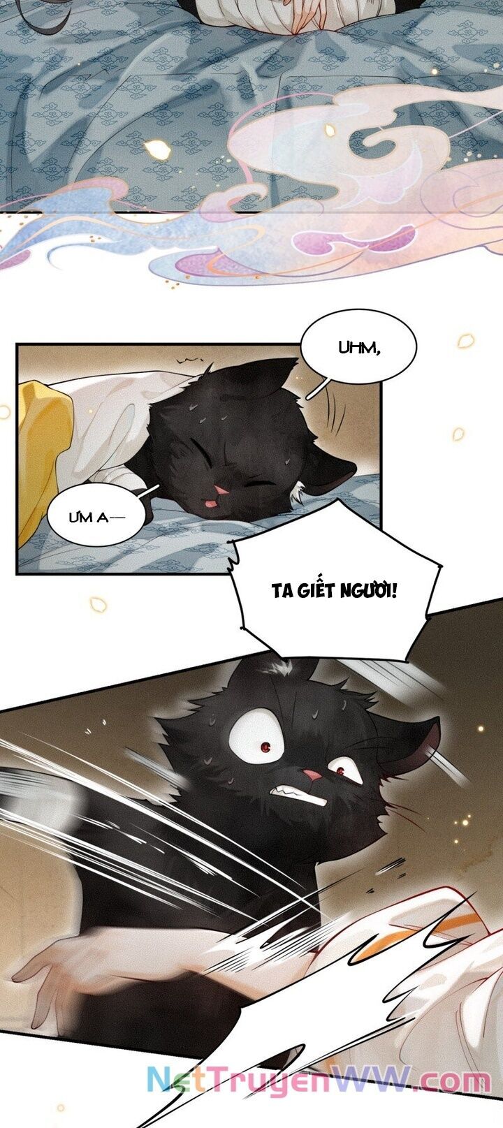 Báo Đen Nhỏ, Cùng Đi Thi Nào! Chap 2 - Next Chap 3