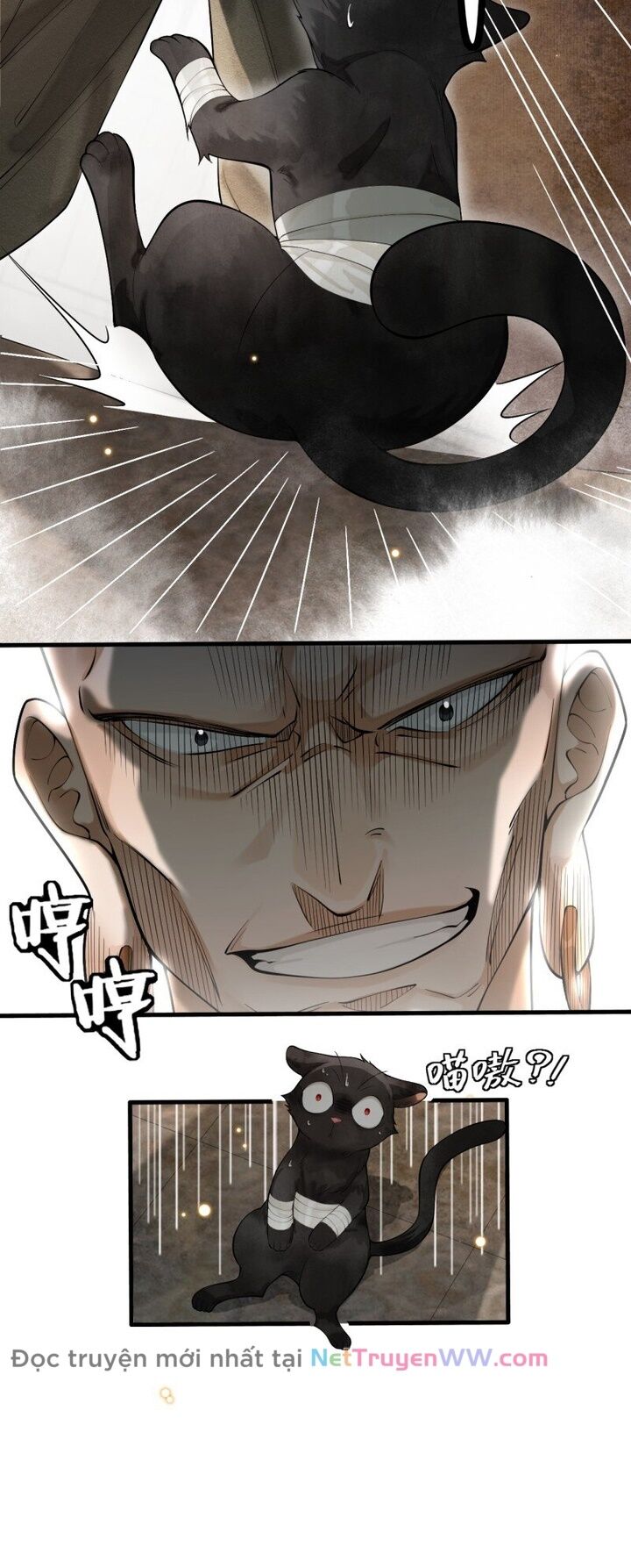 Báo Đen Nhỏ, Cùng Đi Thi Nào! Chap 2 - Next Chap 3