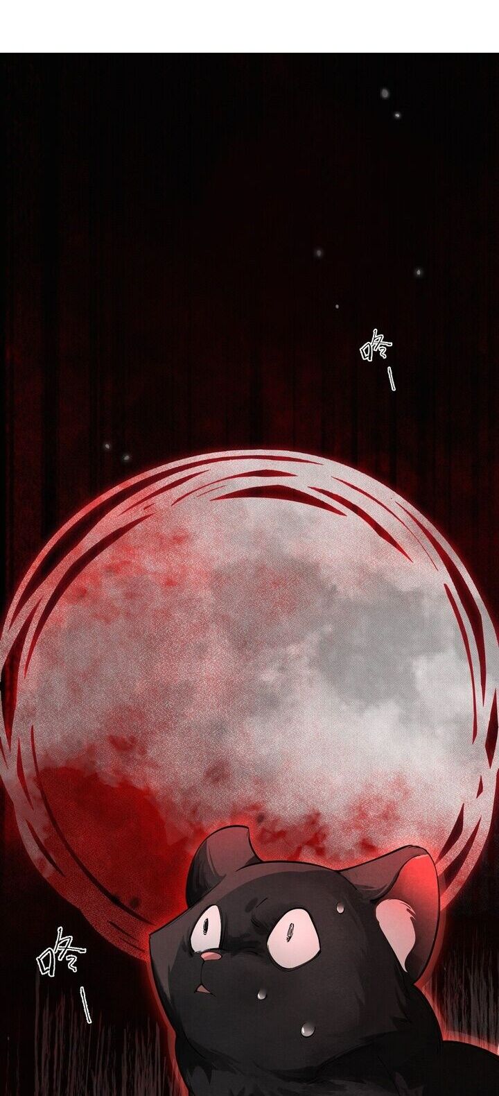 Báo Đen Nhỏ, Cùng Đi Thi Nào! Chap 5 - Next Chap 6