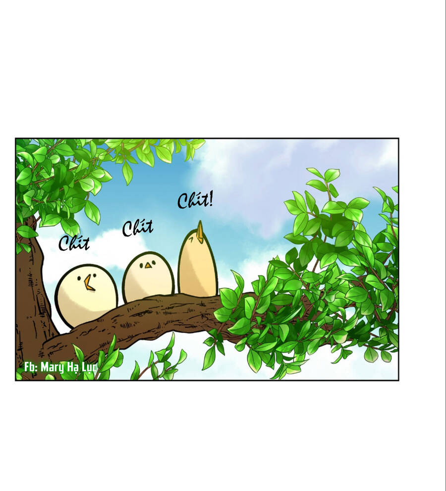 Bảo Vật Của Công Chúa Chap 15 - Next Chap 16