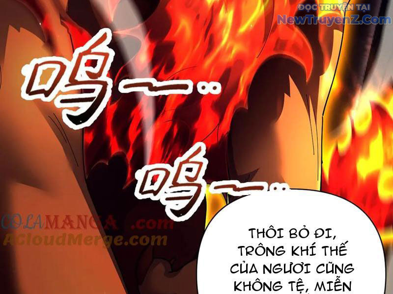 Bắt Đầu Chấn Kinh Nữ Đế Lão Bà, Ta Vô Địch! Chap 76 - Next Chap 77