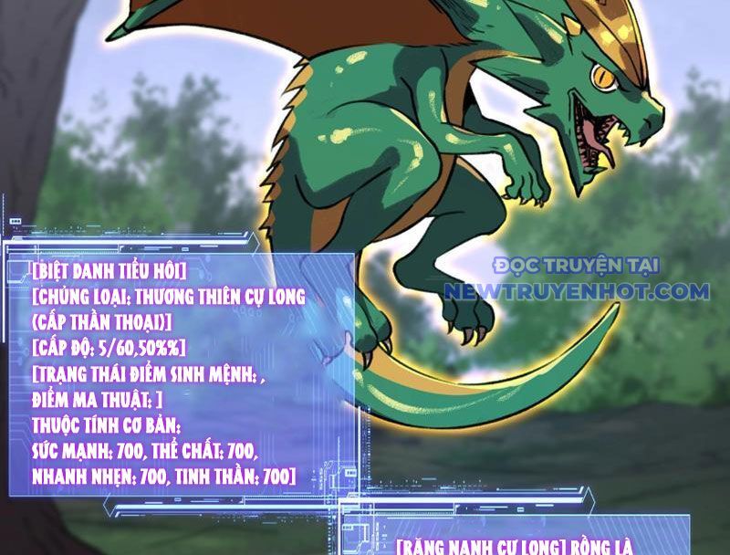 Bắt Đầu Chuyển Chức Tài Thần, Ta Chuyển Hóa Triệu Vạn Thần Sủng Chap 5 - Next Chap 6