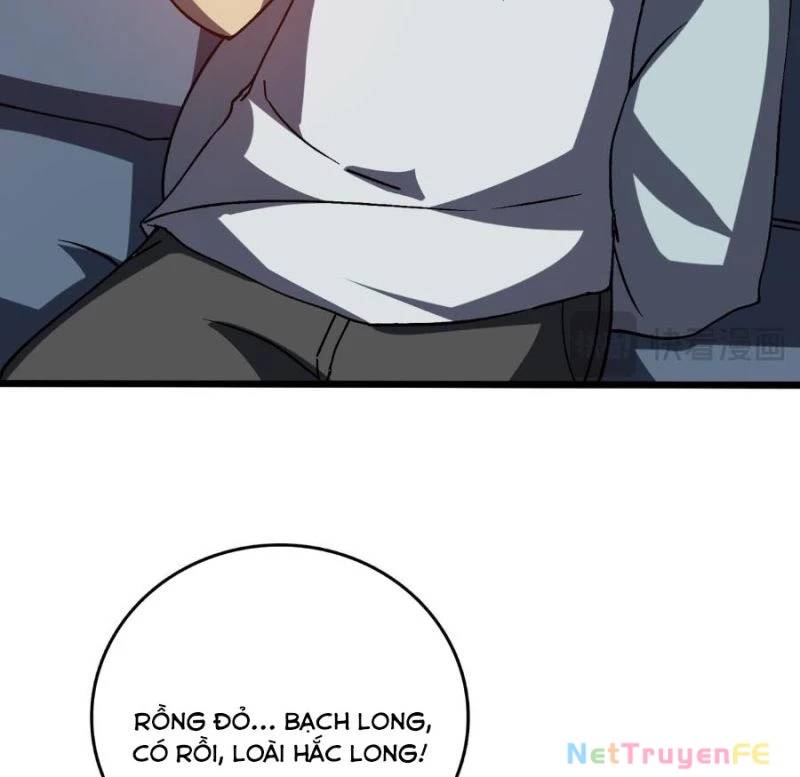 Bắt Đầu Kế Nhiệm Boss Hắc Long, Ta Vô Địch Chap 16 - Next Chap 17