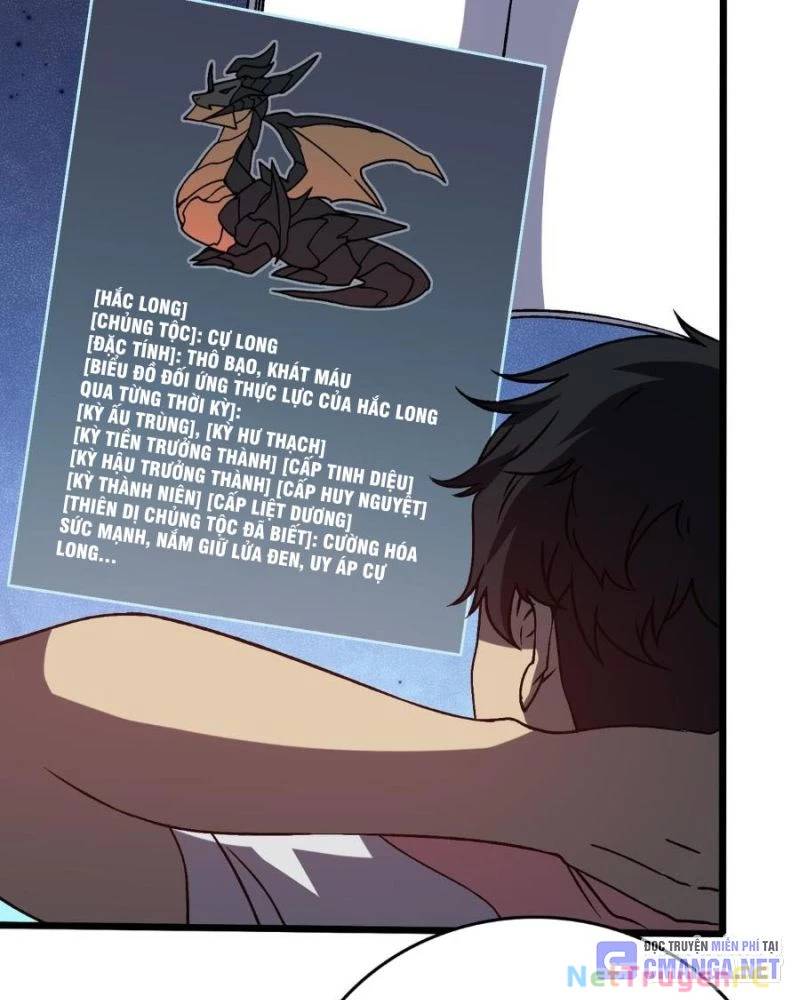 Bắt Đầu Kế Nhiệm Boss Hắc Long, Ta Vô Địch Chap 16 - Next Chap 17