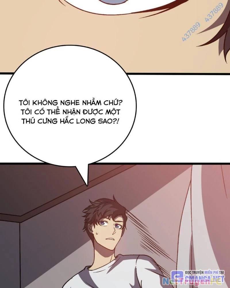 Bắt Đầu Kế Nhiệm Boss Hắc Long, Ta Vô Địch Chap 16 - Next Chap 17