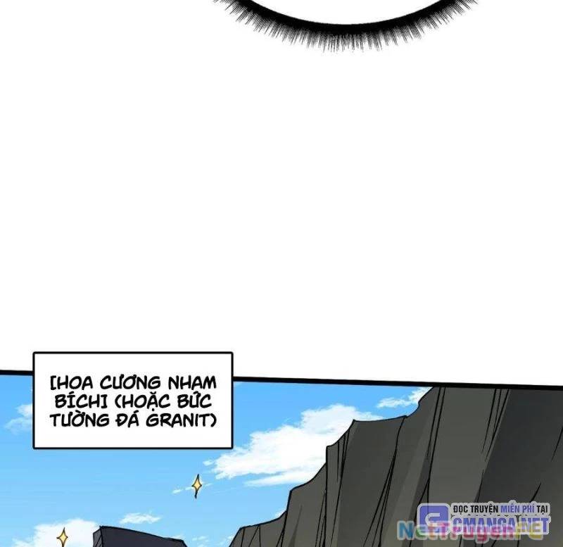 Bắt Đầu Kế Nhiệm Boss Hắc Long, Ta Vô Địch Chap 23 - Next Chap 24