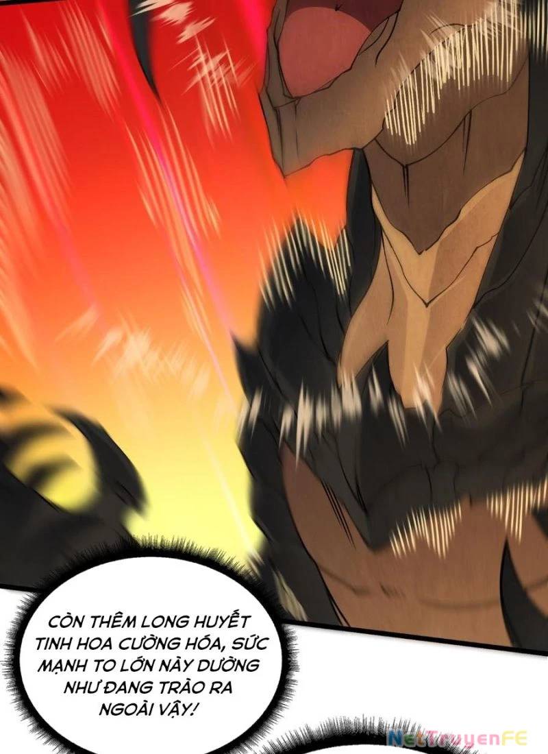 Bắt Đầu Kế Nhiệm Boss Hắc Long, Ta Vô Địch Chap 32 - Next Chap 33