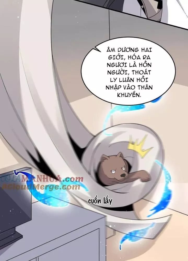 Bắt Đầu Livestream Ở Địa Phủ: Phát Sóng Trực Tiếp Ở Đây Ai Dám Đến Chap 285 - Next Chap 286