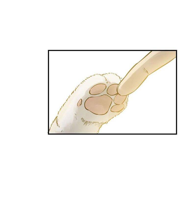 Bắt Đầu Từ Cửu Đầu Điểu Chap 94 - Next Chap 95