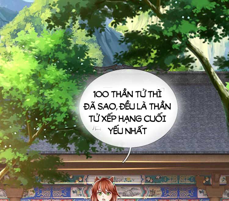 Bắt Đầu Với Chí Tôn Đan Điền Chap 246 - Next Chap 247