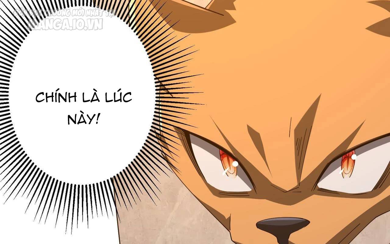 Bắt Đầu Với Trăm Vạn Minh Tệ Chap 148 - Next Chap 149