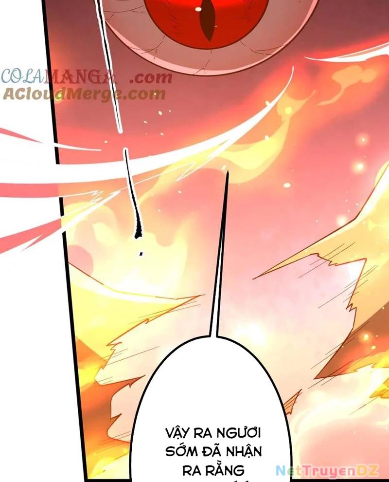 Bắt Đầu Với Trăm Vạn Minh Tệ Chap 201 - Next Chap 202