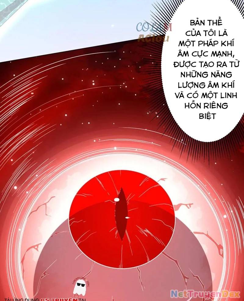 Bắt Đầu Với Trăm Vạn Minh Tệ Chap 203 - Next Chap 204