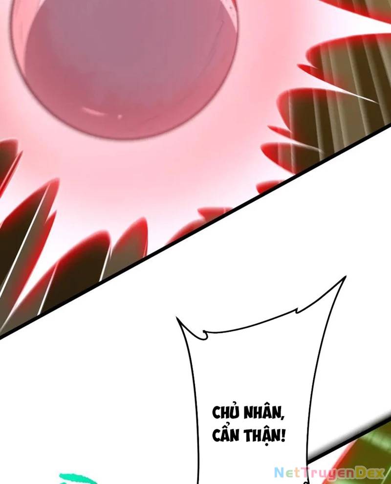 Bắt Đầu Với Trăm Vạn Minh Tệ Chap 205 - Next Chap 206